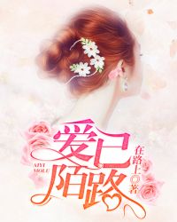 ����С˵:����İ·