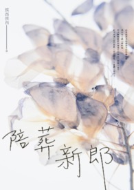 ����С˵:����������������