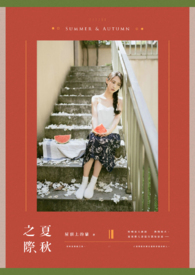 ����С˵:����֮��