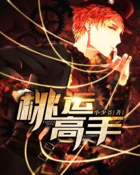 ����С˵:���˸���