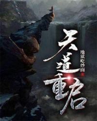 ����С˵:�������