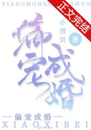 ����С˵:��Ź�װ