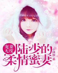 ����С˵:�����޶ȣ�½�ٵ���������