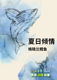 ����С˵:��������