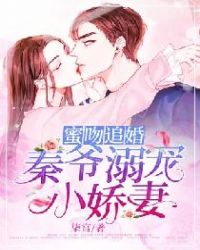 ����С˵:����׷�飺��ү���С����