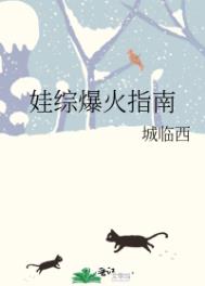 ����С˵:���۱���ָ��