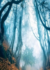 ����С˵:����֮��