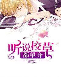 ����С˵:��˵У�ݶ�����