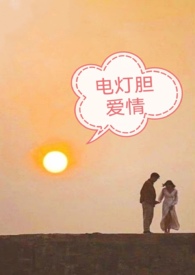 ����С˵:��Ƶ�����