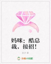 ����С˵:���䣺���ܲã����У�