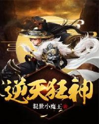 ����С˵:�������