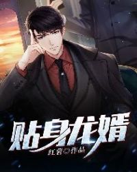 ����С˵:��������