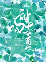 ����С˵:���ǿ���