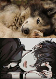 С˵:󽿣NPH&nbsp;&nbsp;ͼ