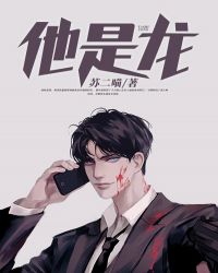 ����С˵:������