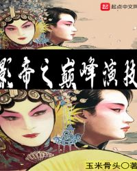 ����С˵:Ӱ��֮�۷��ݼ�