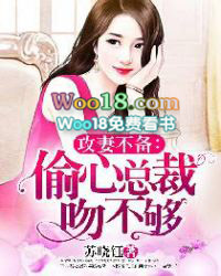 ����С˵:���޲�����͵���ܲ��ǲ���