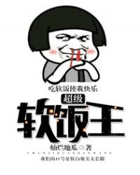 ����С˵:����������