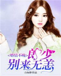 ����С˵:���鲻�������ٱ�������