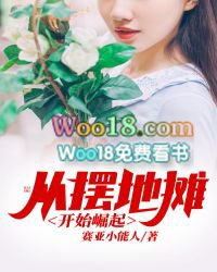 ����С˵:�Ӱڵ�̯��ʼ����