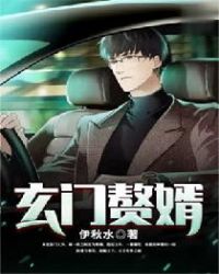 ����С˵:����׸��