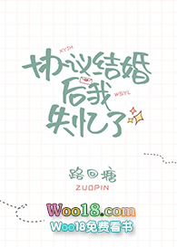 ����С˵:Э�������ʧ����