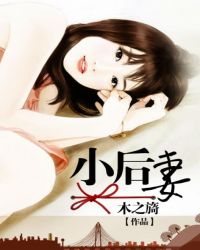 ����С˵:С����