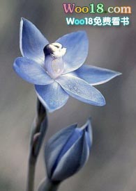 ����С˵:�������y�衿��֮�A