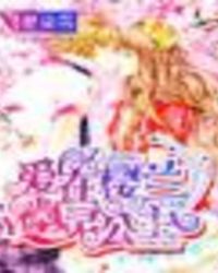 ����С˵:����ӣ�����鹫��