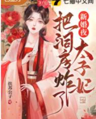 ����С˵:�»�ҹ̫�����Ѷ���ը��