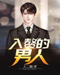 ����С˵:��׸������