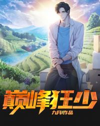 ����С˵:�۷����