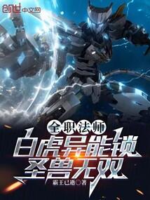 ����С˵:ȫְ��ʦ���׻���������ʥ����˫