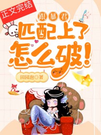 �ƻ�С˵:������ƥ��������ô�ƣ�