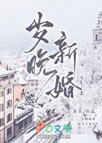 ����С˵:�����»�