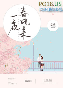 ����С˵:һҹ������