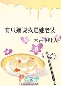 ����С˵:��ֻè˵����������