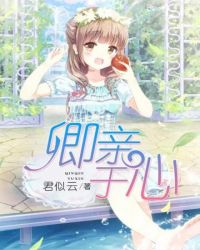 ����С˵:��������