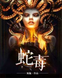 ����С˵:�߶�