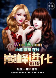 �ƻ�С˵:�۷����ϵͳ