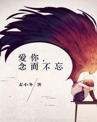 ����С˵:���㣬�������