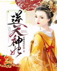 ����С˵:��������