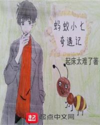 ����С˵:����С��������