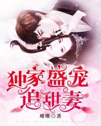 ����С˵:����ʢ��׷����