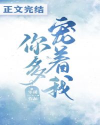 ����С˵:��������