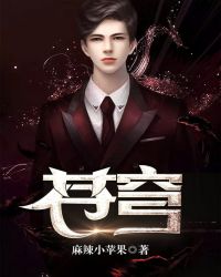 ����С˵:���