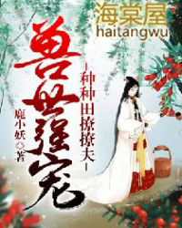 ����С˵:����ǿ�裺���������÷�