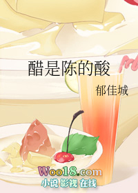 ����С˵:���ǳµ���