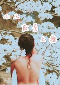 ����С˵:С���������