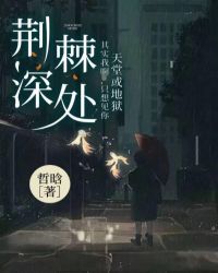 ����С˵:�����